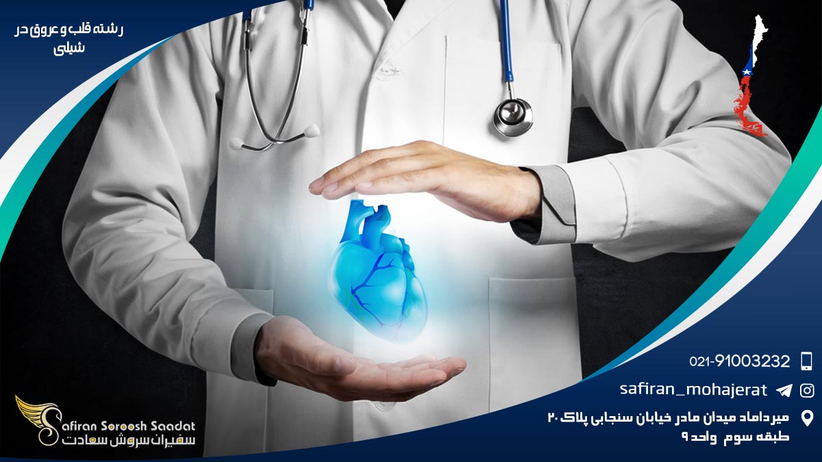 معرفی دانشگاه های رشته قلب و عروق در شیلی رشته قلب و عروق در شیلی