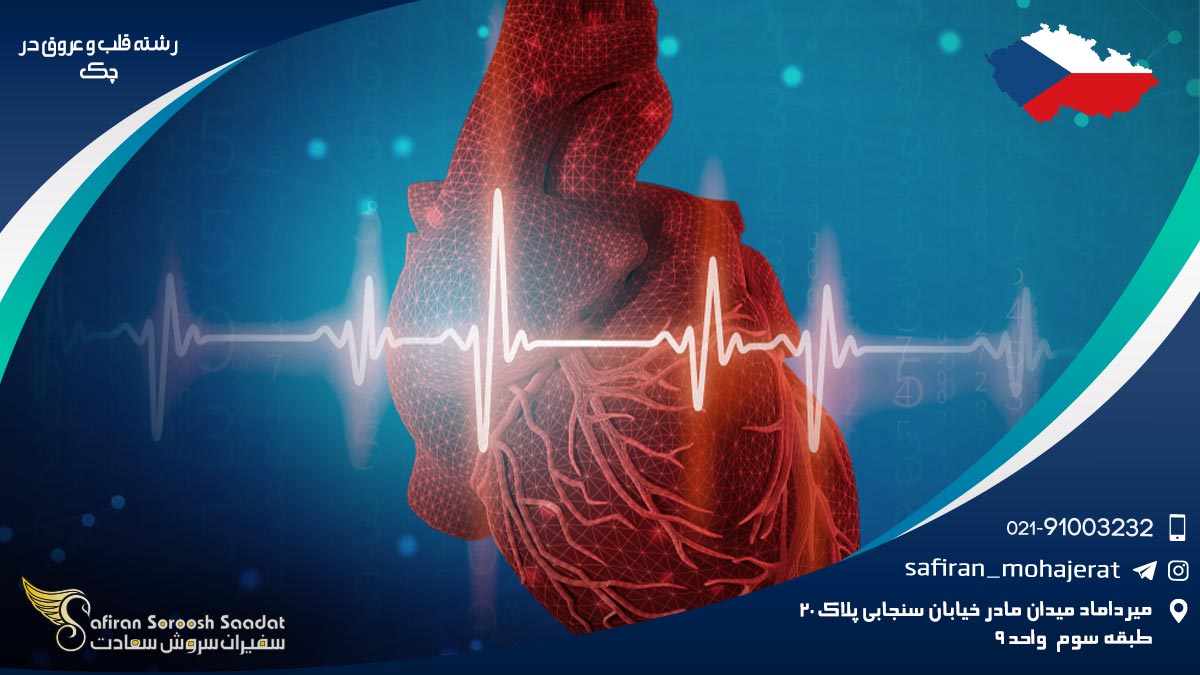 رشته قلب و عروق در چک