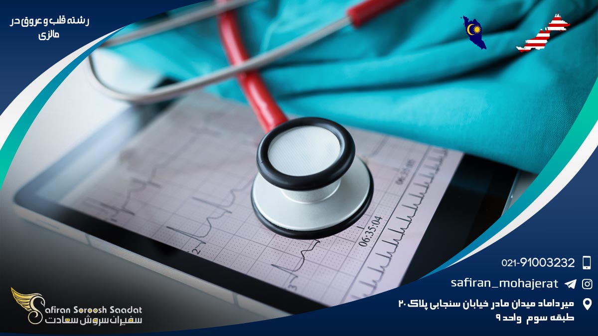 کار رشته قلب و عروق در مالزی رشته قلب و عروق در مالزی