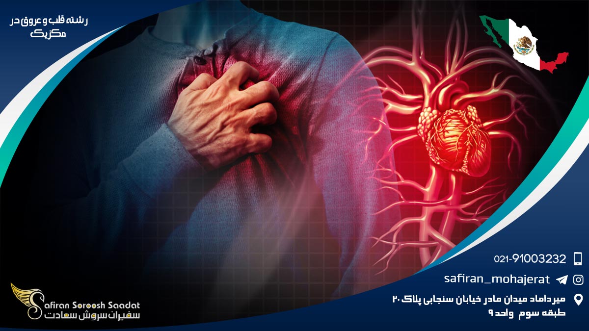 هزینه تحصیل رشته قلب و عروق در مکزیک رشته قلب و عروق در مکزیک