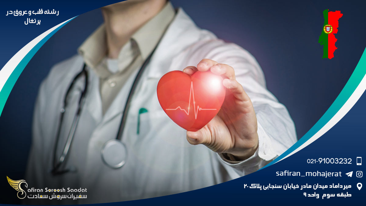 رشته قلب و عروق در پرتغال