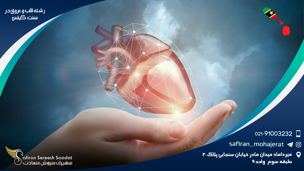 هزینه تحصیل رشته قلب و عروق در سنت کیتس رشته قلب و عروق در سنت کیتس