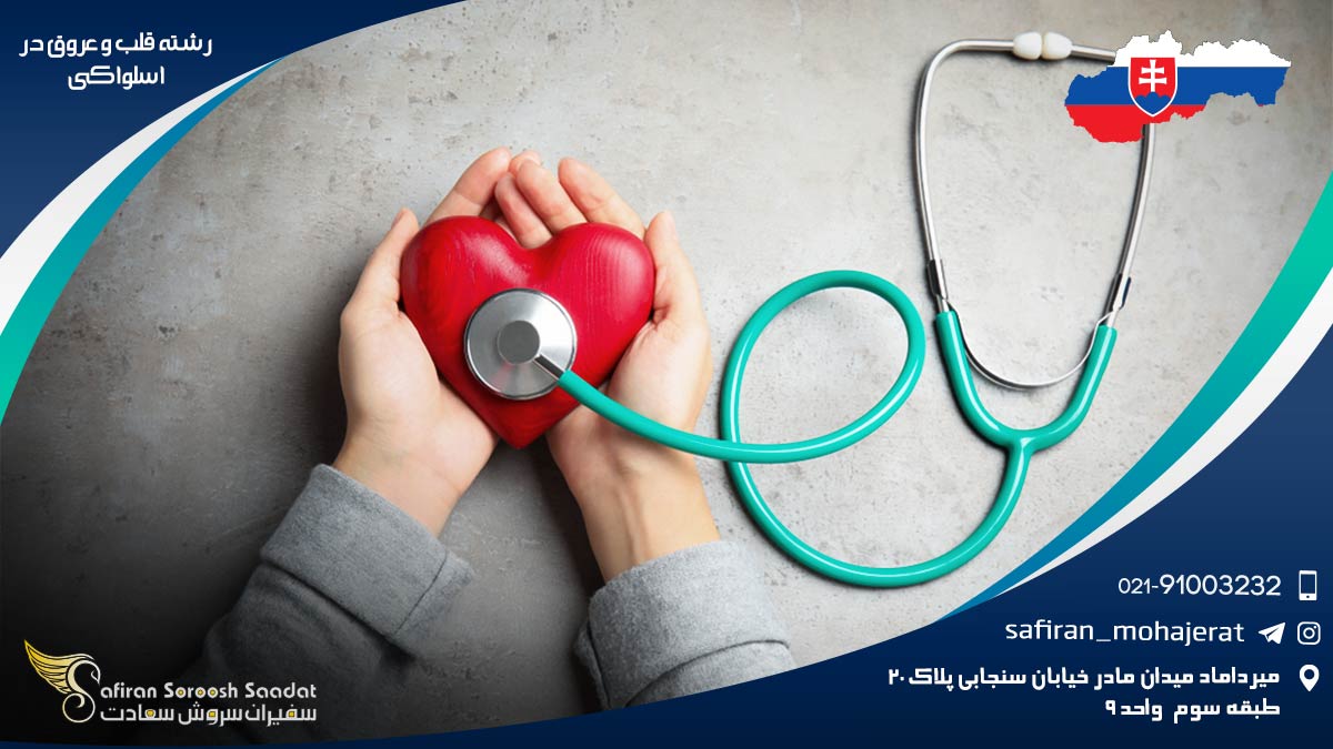 بهترین دانشگاه ها برای رشته قلب و عروق در اسلواکی رشته قلب و عروق در اسلواکی