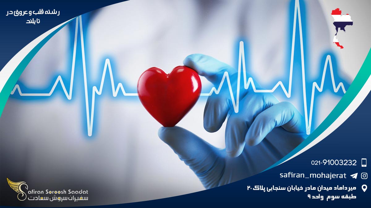 تحصیل رشته قلب و عروق در تایلند رشته قلب و عروق در تایلند