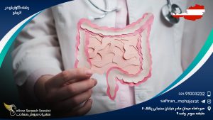 رشته گوارش در اتریش