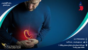رشته گوارش در لیختن اشتاین