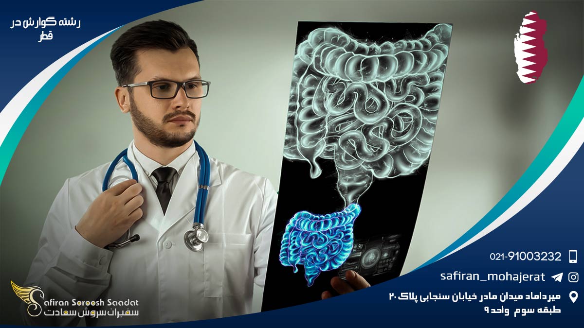 هزینه تحصیل رشته گوارش در قطر رشته گوارش در قطر