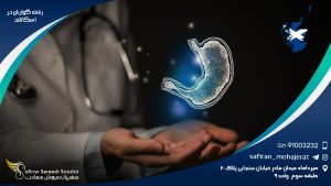 رشته گوارش در اسکاتلند