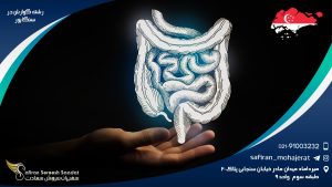رشته گوارش در سنگاپور