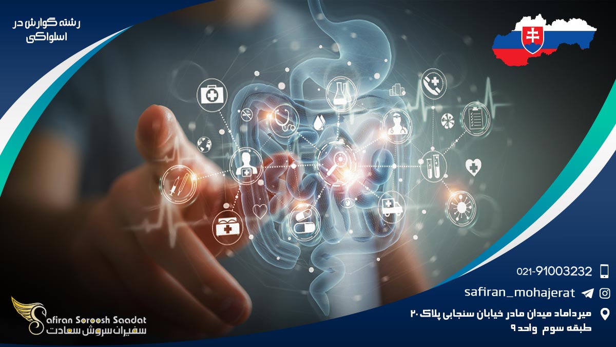 هزینه تحصیل رشته گوارش در اسلواکی رشته گوارش در اسلواکی