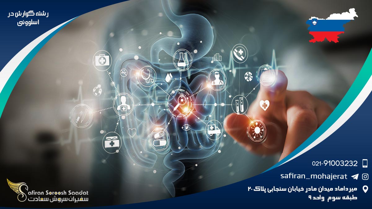 هزینه تحصیل رشته گوارش در اسلوونی رشته گوارش در اسلوونی
