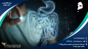 رشته گوارش در کره جنوبی