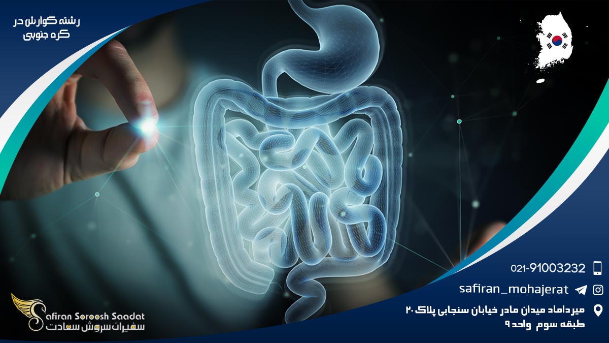رشته گوارش در کره جنوبی