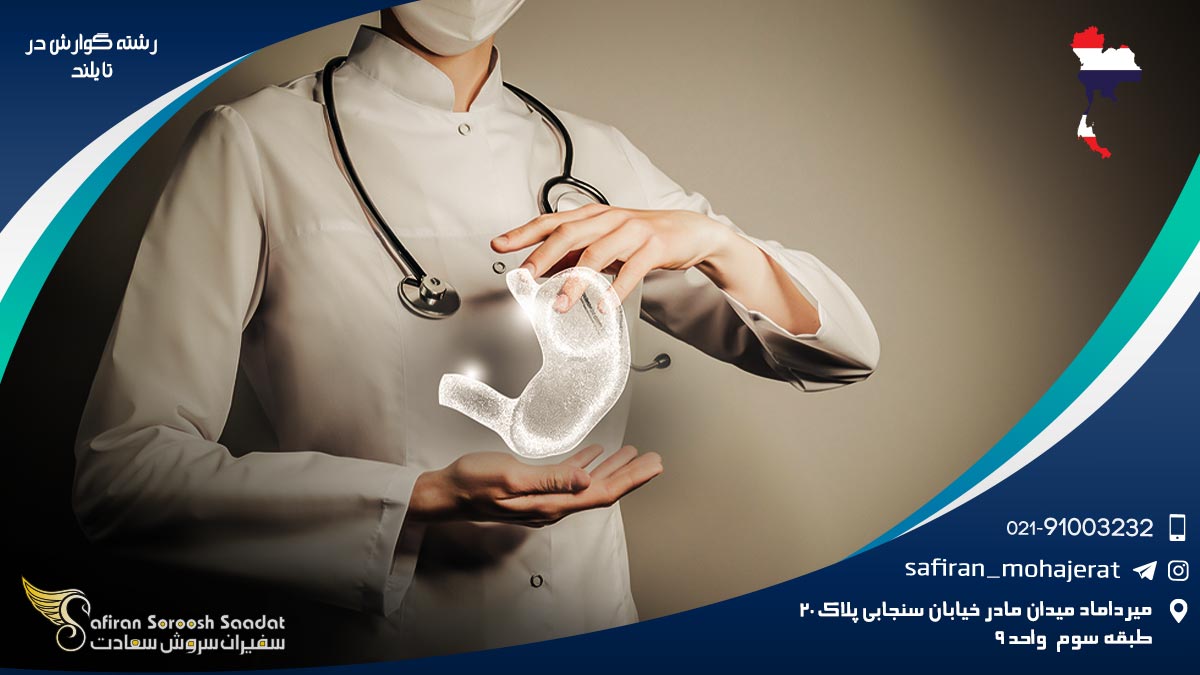 کار رشته گوارش در تایلند رشته گوارش در تایلند