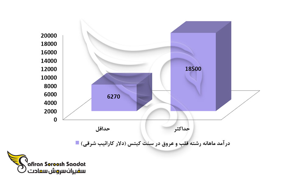 درآمد ماهانه رشته قلب و عروق در سنت کیتس