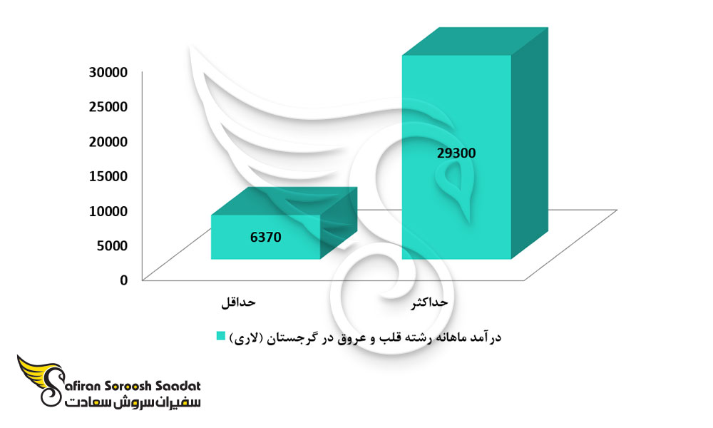 درآمد ماهانه رشته قلب و عروق در گرجستان