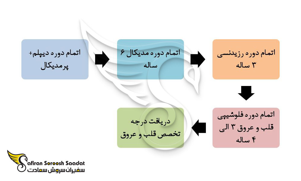 پروسه تحصیل در رشته قلب و عروق در آذربایجان