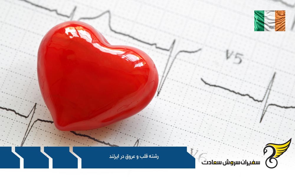 بهترین دانشگاه ها برای رشته قلب و عروق در ایرلند