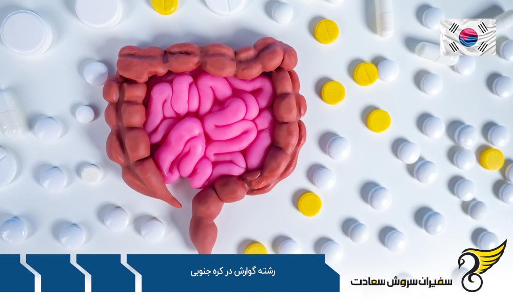 هزینه تحصیل رشته گوارش در کره جنوبی