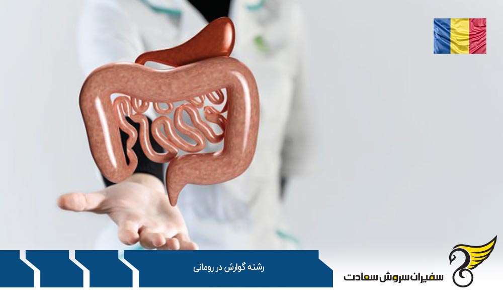 کار ضمن تحصیل رشته گوارش در رومانی