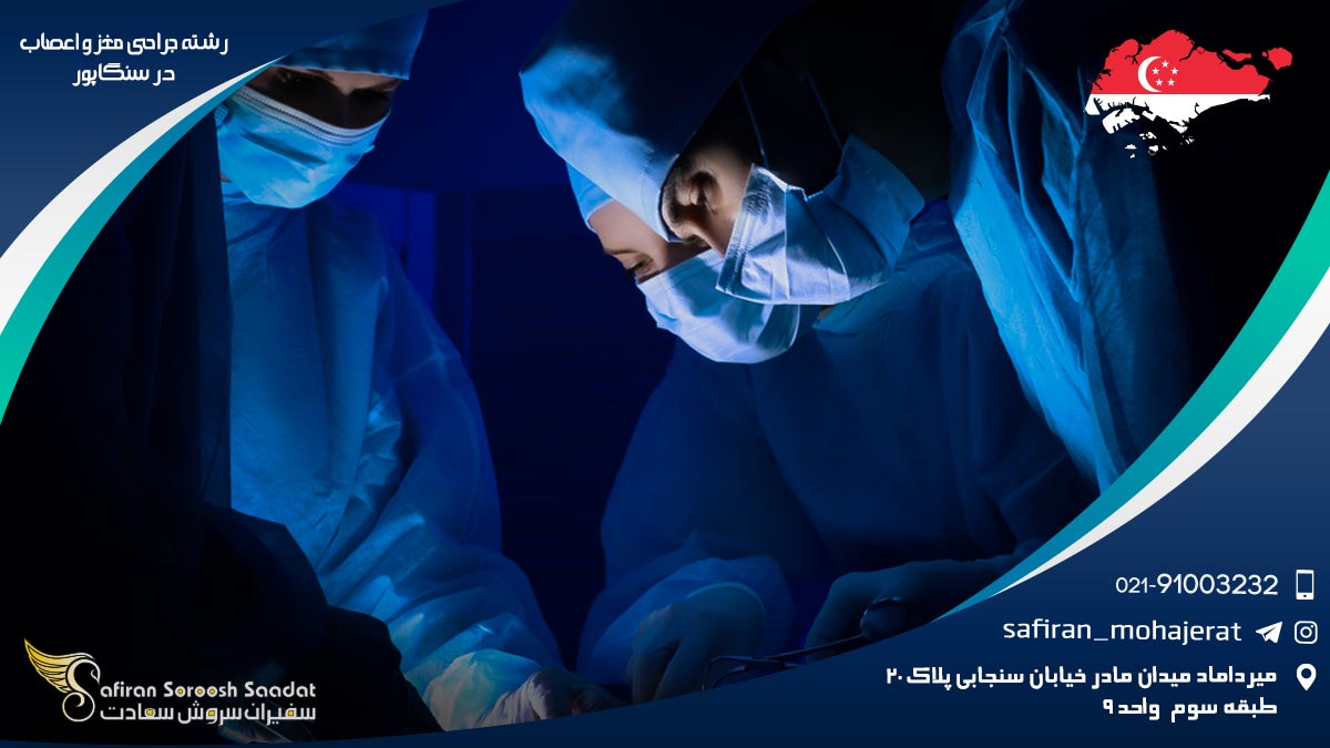 کار رشته جراحی مغز و اعصاب در سنگاپور رشته جراحی مغز و اعصاب در سنگاپور