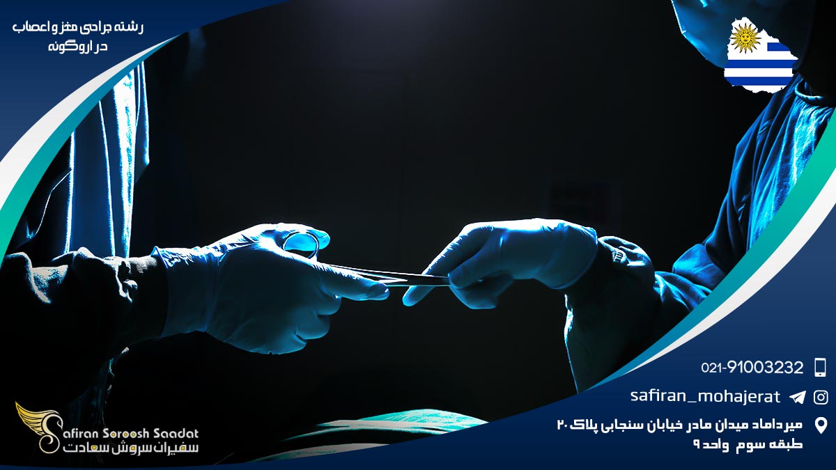 شرایط کار رشته جراحی مغز و اعصاب در اروگوئه رشته جراحی مغز و اعصاب در اروگوئه