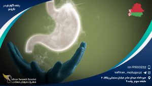 رشته گوارش در بلاورس