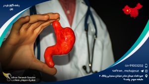 رشته گوارش در چین
