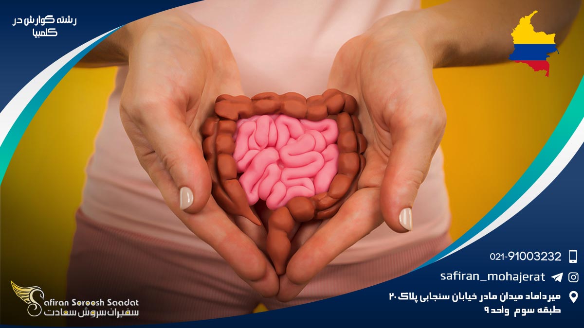 هزینه تحصیل رشته گوارش در کلمبیا رشته گوارش در کلمبیا