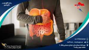 رشته گوارش در کرواسی