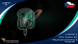 رشته گوارش در چک