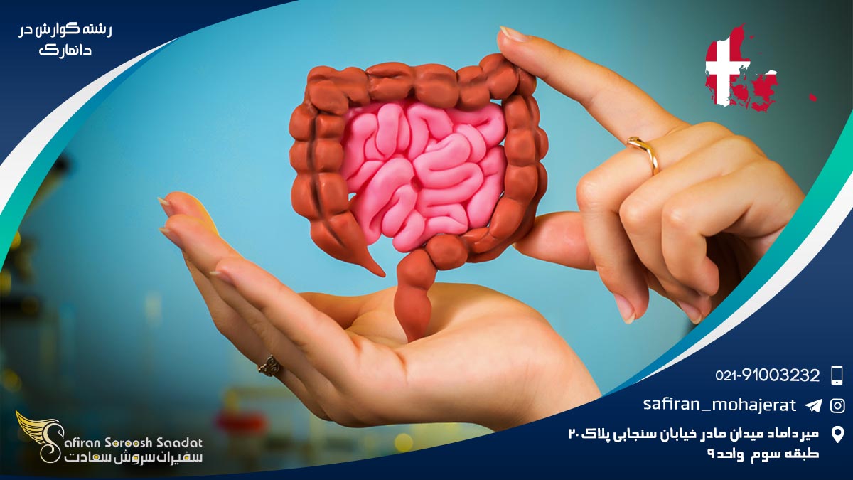 رشته گوارش در دانمارک