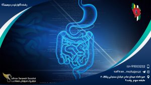 رشته گوارش در دومینیکا