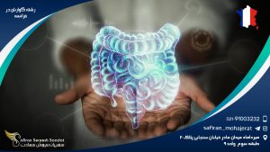 رشته گوارش در فرانسه