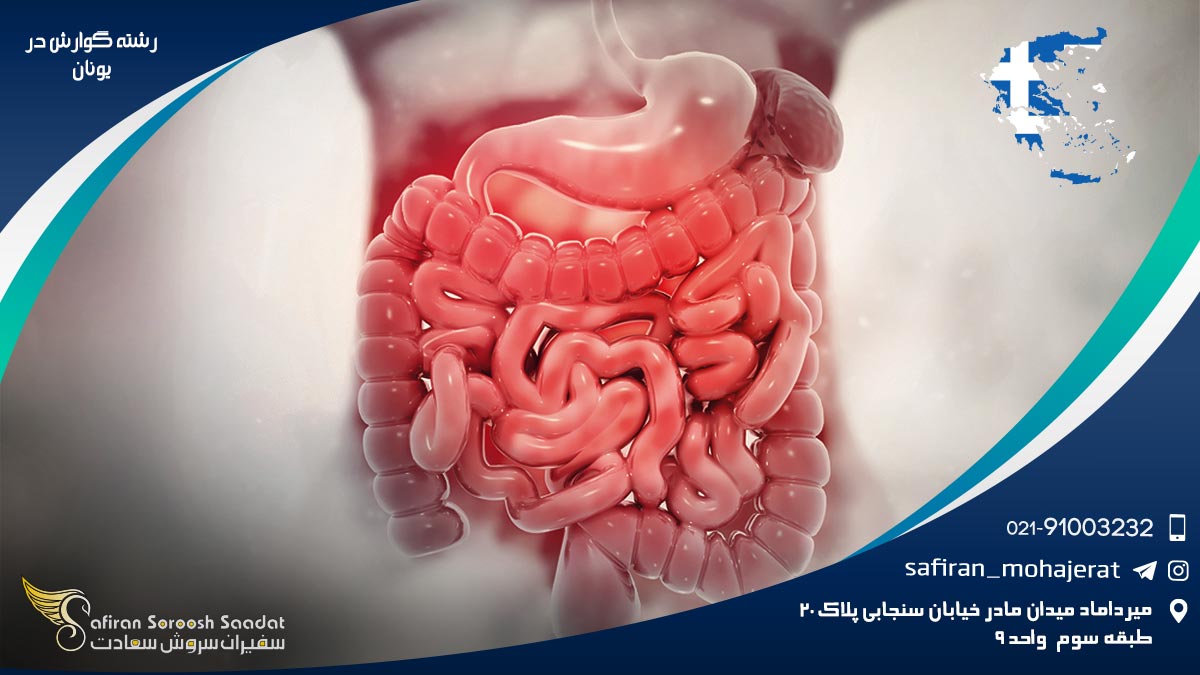 هزینه تحصیل رشته گوارش در یونان رشته گوارش در یونان