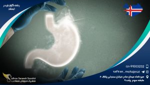 رشته گوارش در ایسلند