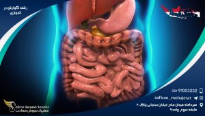 رشته گوارش در اندونزی