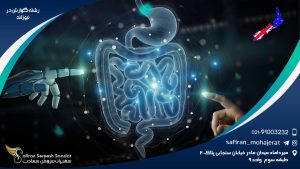 رشته گوارش در نیوزلند