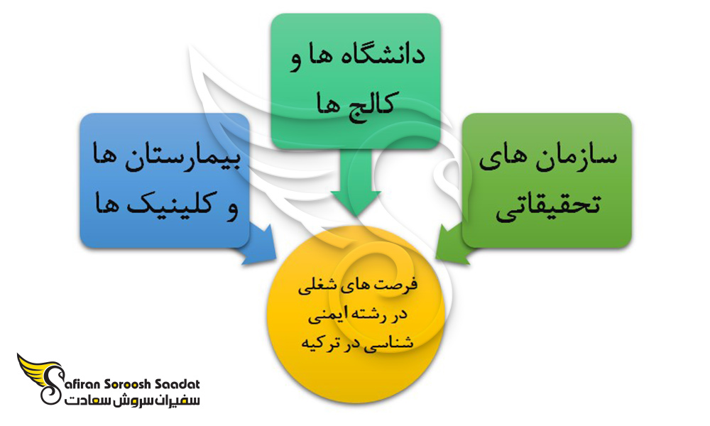 فرصت های شغلی ایده آل در رشته ایمنی شناسی در ترکیه