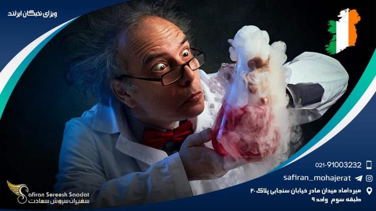 ویزای نخبگان ایرلند