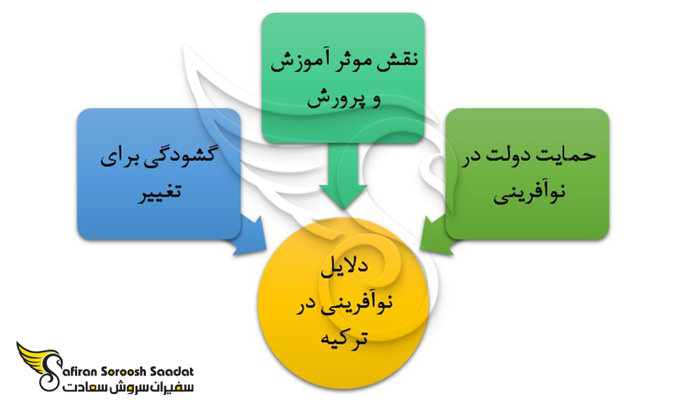 مهمترین دلایل نوآفرینی در ترکیه