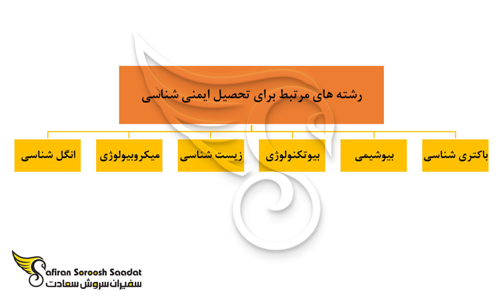 رشته های مرتبط برای تحصیل ایمنی شناسی