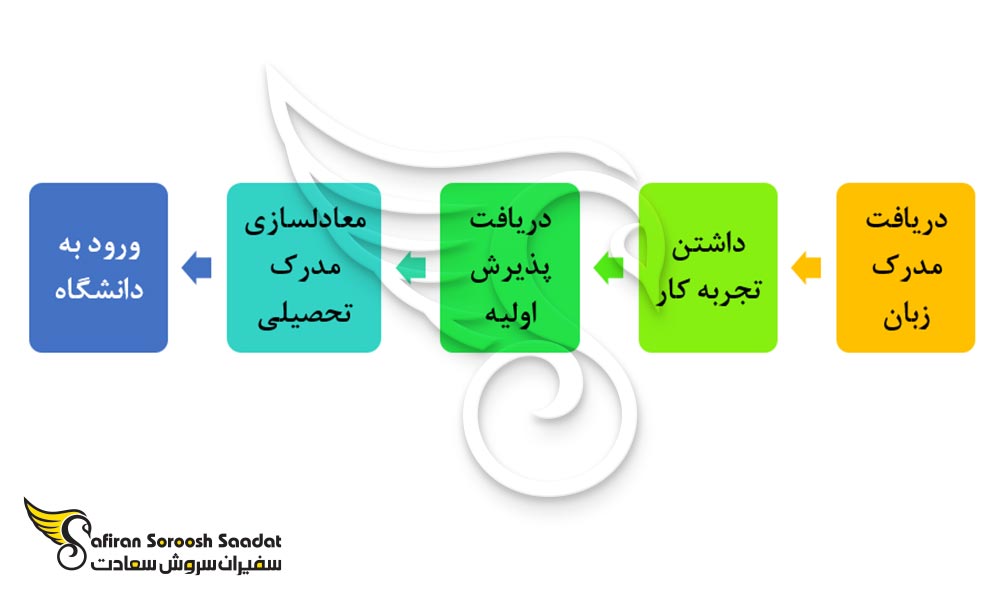 مراحل تحصیل رشته جراحی مغز و اعصاب در چین