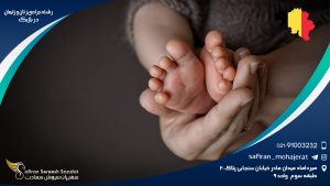 رشته جراحی زنان و زایمان در بلژیک