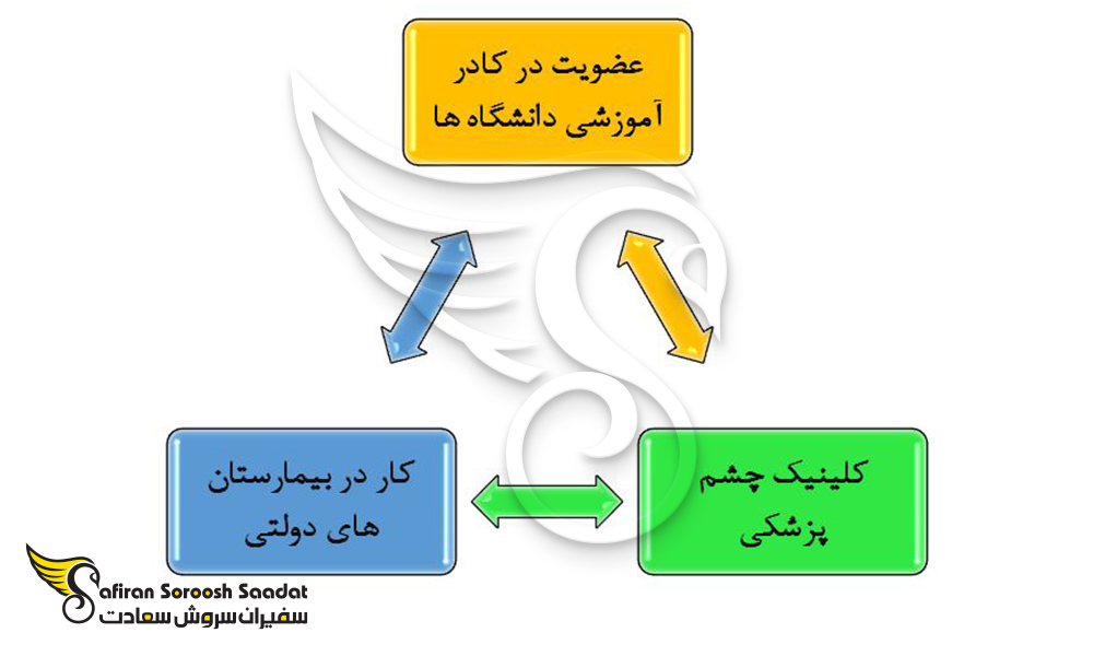برخی از محبوب ترین مشاغل چشم پزشکی در نیوزلند