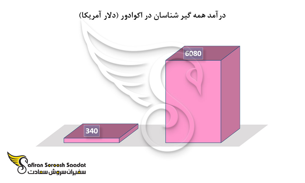 درآمد همه گیرشناسان در اکوادور
