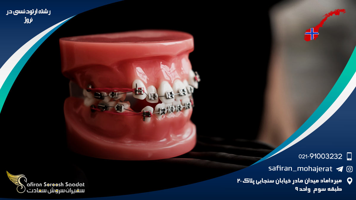 رشته ارتودنسی در نروژ