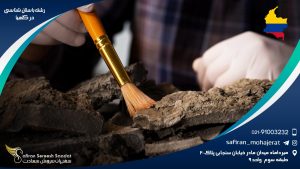 رشته باستان شناسی در کلمبیا
