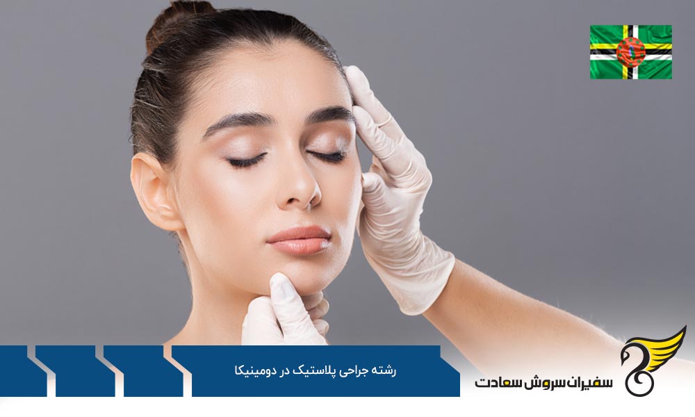 هزینه رشته جراحی پلاستیک در دومینیکا