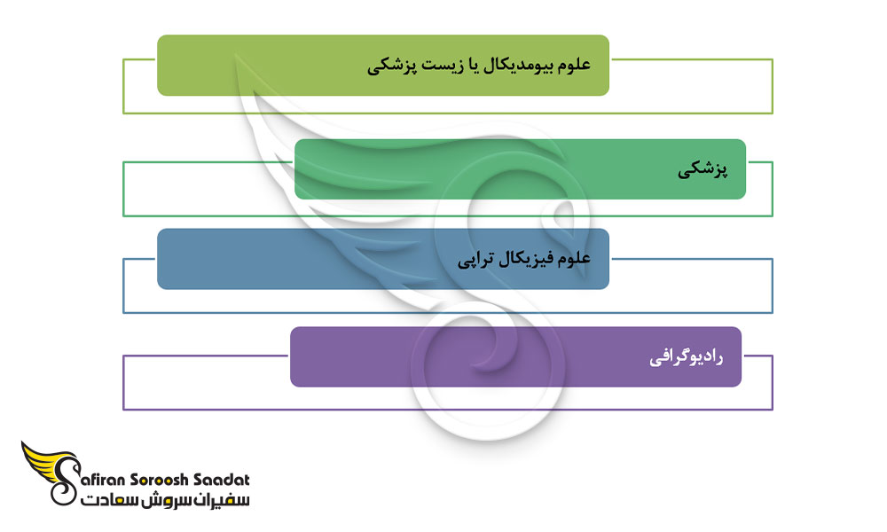 دپارتمان های دانشگاه پزشکی ایسلند